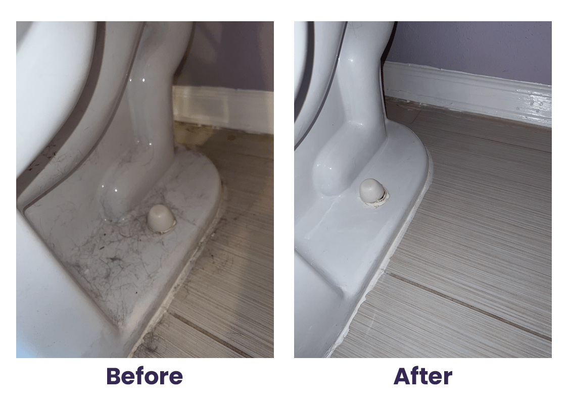 Gallery image 4 — Royal Hive Cleaning