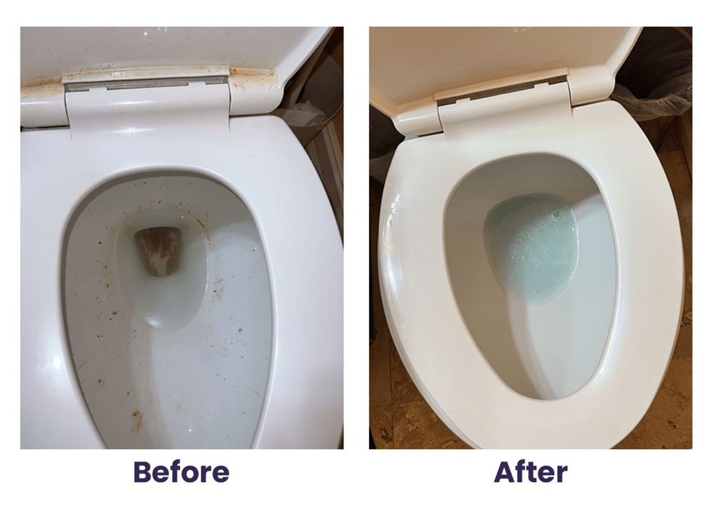 Gallery image 6 — Royal Hive Cleaning