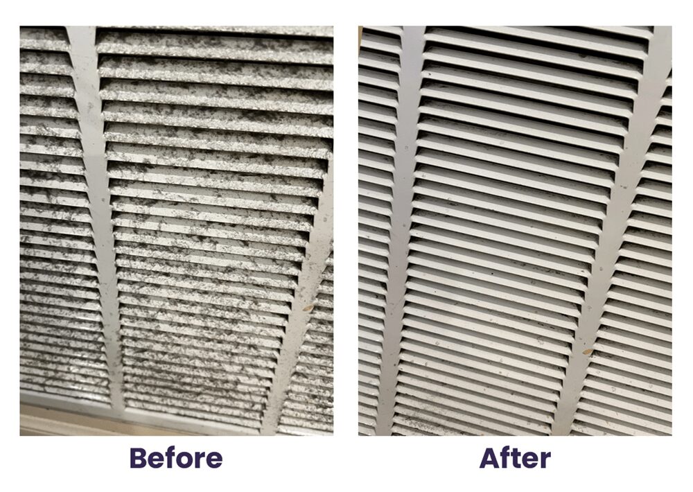 Gallery image 12 — Royal Hive Cleaning