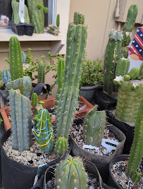 commercial tree care Houston