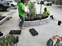 Gallery image 3 — storm damage tree cleanup Houston
