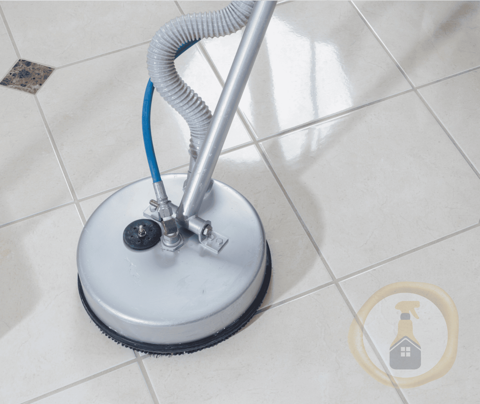 Gallery image 4 — The Prime Cleaner