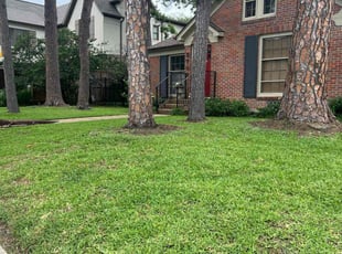 Gallery image 2 — lawn maintenance in Houston