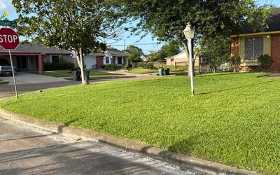 lawn maintenance in Houston