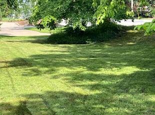 Gallery image 1 — lawn maintenance in Houston