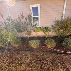 About LawnStarter Houston