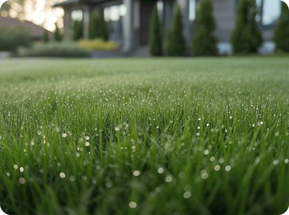 Gallery image 1 — LawnStarter Houston