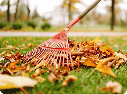 Gallery image 2 — LawnStarter Houston