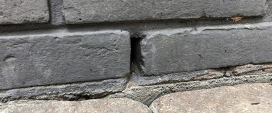 Gallery image 17 — tree root barrier Houston