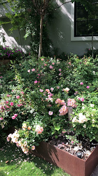 Gallery image 2 — residential landscaping Houston