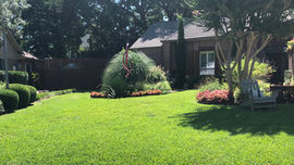 Gallery image 1 — DrewGreen Landscapes