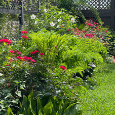 Gallery image 3 — DrewGreen Landscapes