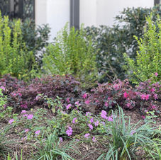 Gallery image 4 — DrewGreen Landscapes