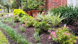 Gallery image 6 — DrewGreen Landscapes