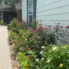 Gallery image 7 — DrewGreen Landscapes