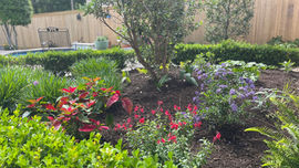 Gallery image 8 — DrewGreen Landscapes