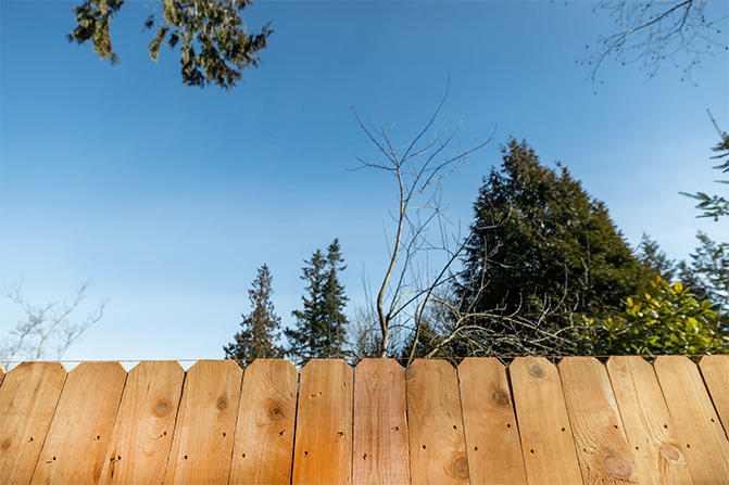 licensed fence installer Coconut Creek