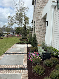 tree service near me