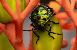 Gallery image 2 — residential window washer Boca Raton