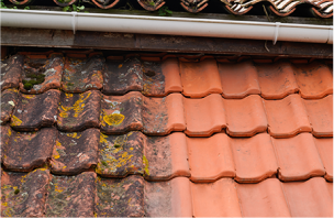 Gallery image 7 — residential window washer Boca Raton