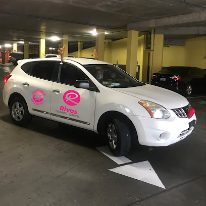 detailed cleaning %AREA%