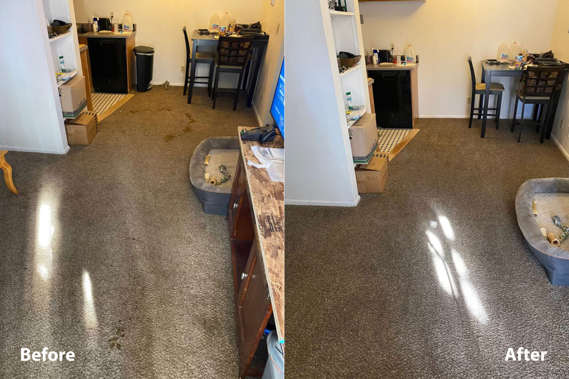 Gallery image 1 — carpet cleaning in Delaware