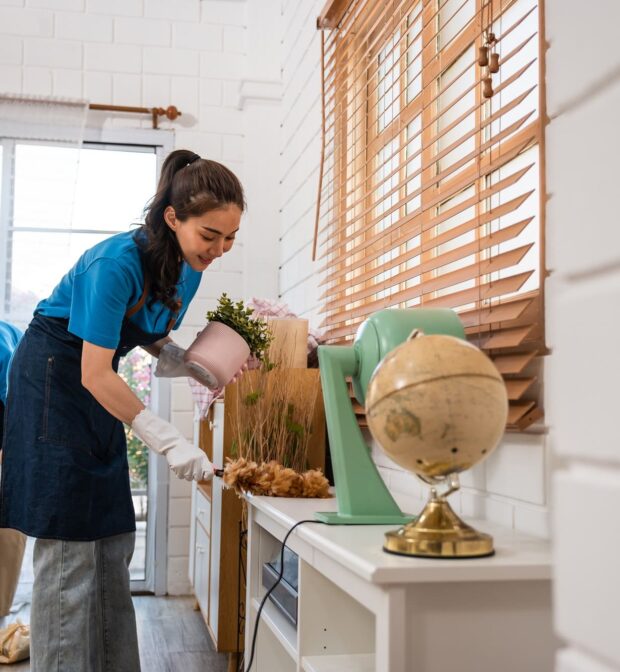 About carpet cleaning in Miami Beach