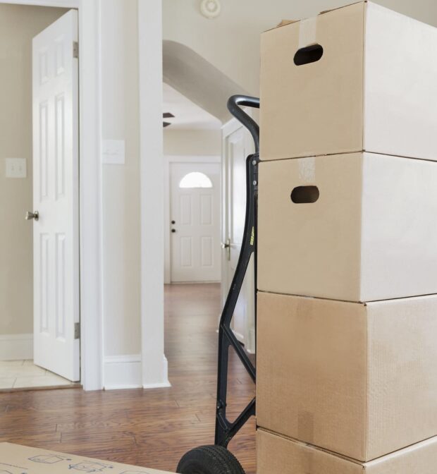 Gallery image 2 — carpet cleaning in Miami Beach