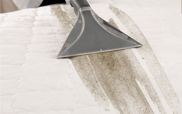 Gallery image 16 — professional cleaning company Channelside Home Services