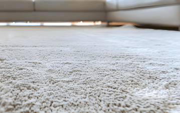 Gallery image 15 — professional cleaning company Channelside Home Services