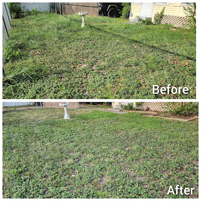Gallery image 1 — Mercado Mowers LLC