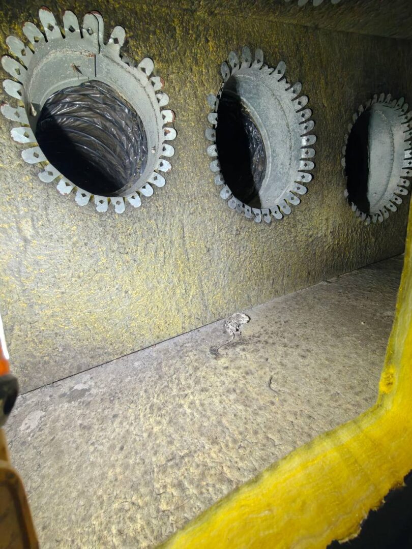 Gallery image 2 — duct cleaning for allergies Austin