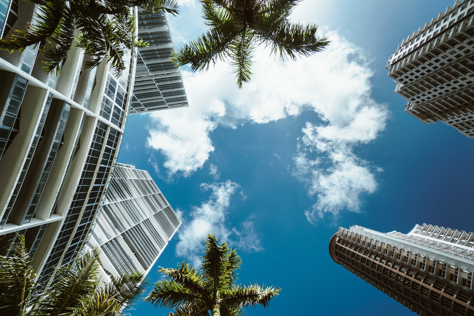 Gallery image 1 — professional home cleaners near me