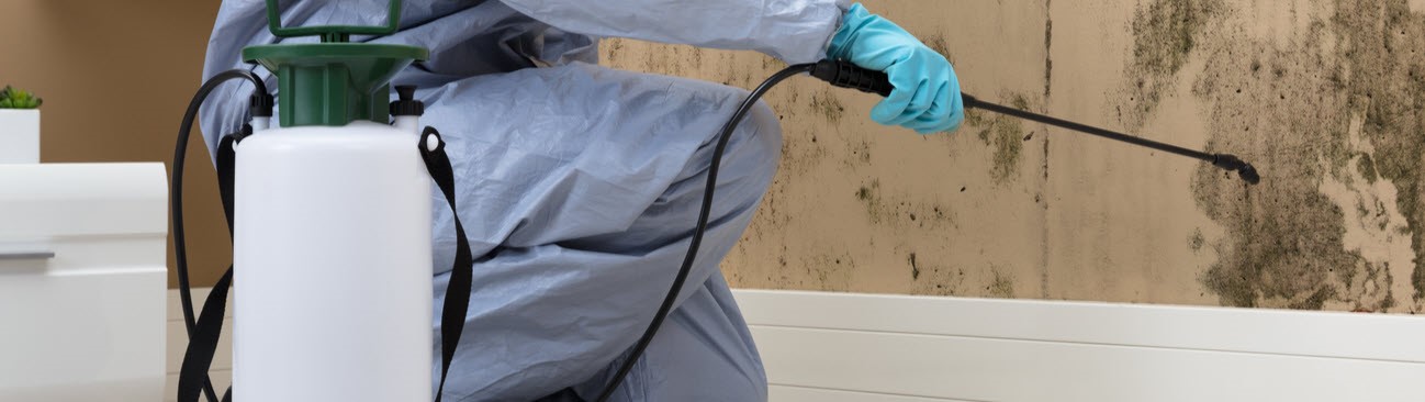 affordable restoration services in Tampa