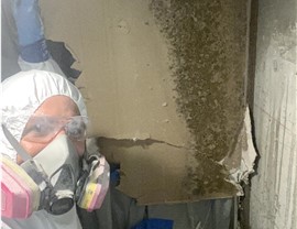 Gallery image 5 — affordable restoration services in Tampa