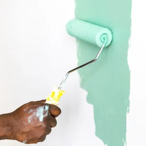 Gallery image 11 — affordable painting Valrico