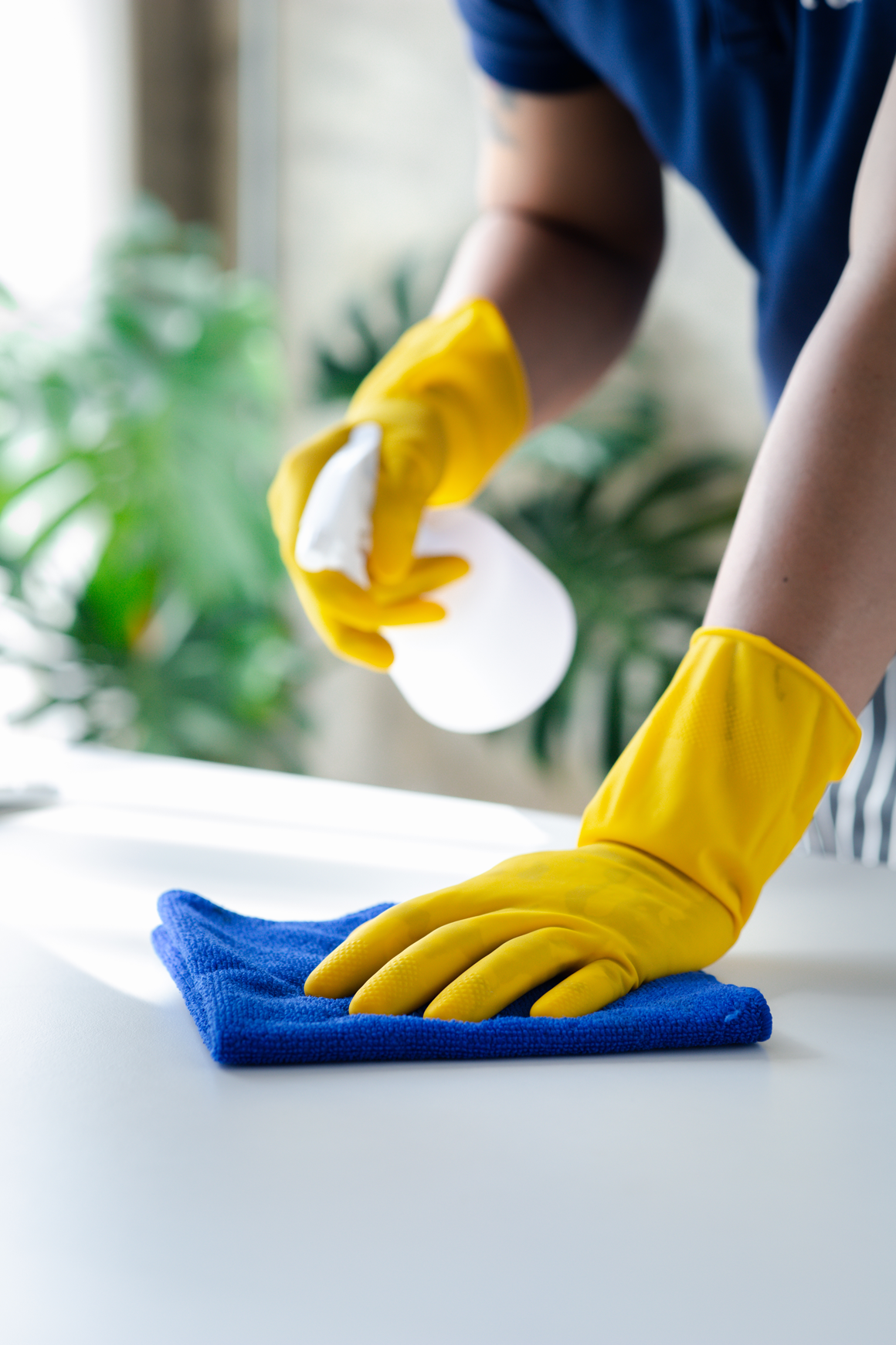 best house cleaners near me