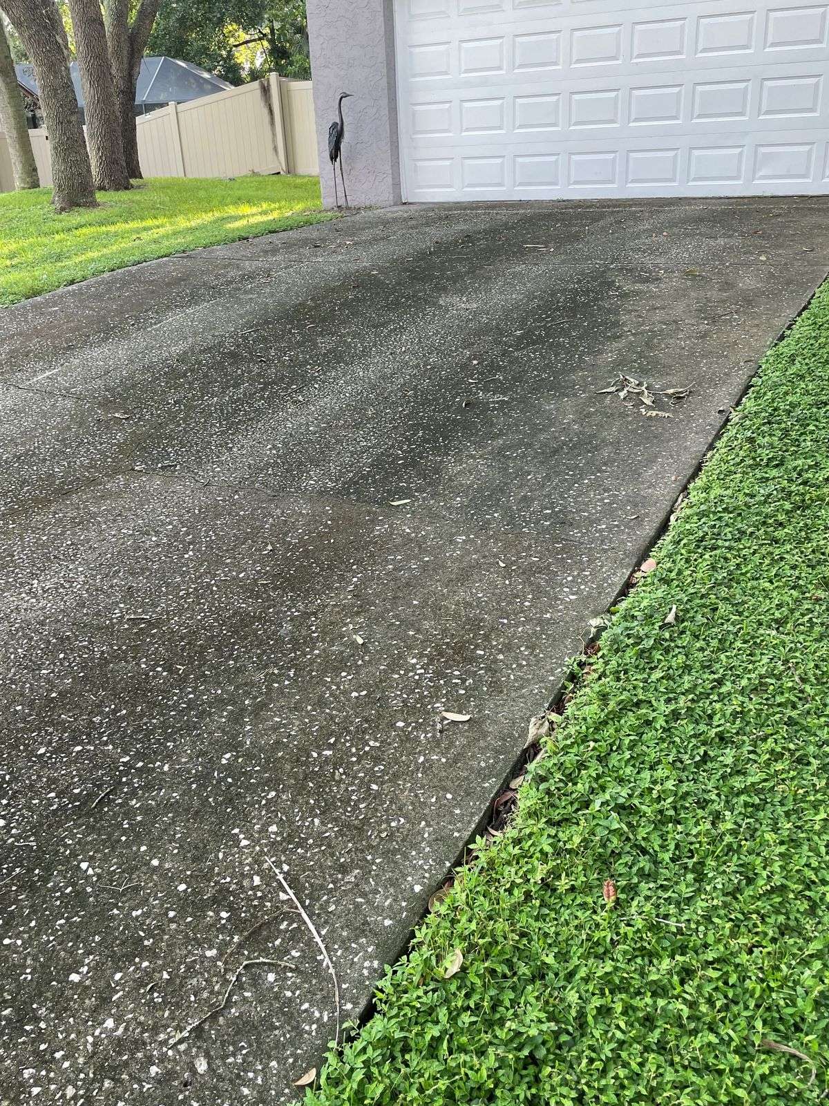 Gallery image 11 — best pressure washing company in Tampa Bay