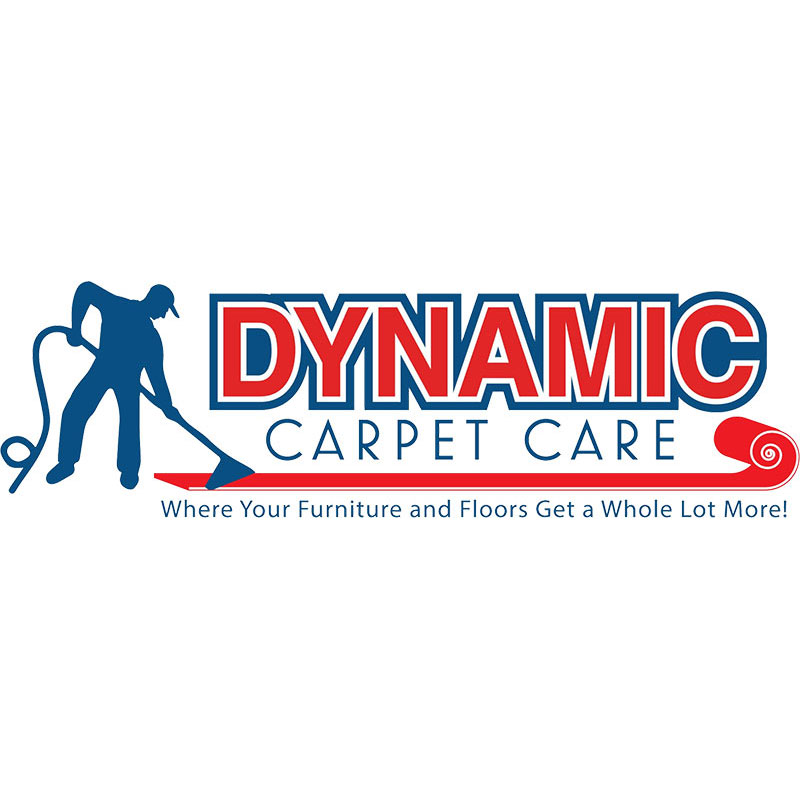 pet odor removal Hillsborough County
