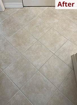 Gallery image 1 — area rug cleaning Hillsborough County