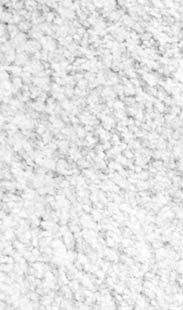 Gallery image 12 — area rug cleaning Hillsborough County