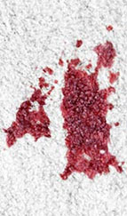 Gallery image 3 — area rug cleaning Hillsborough County