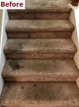 Gallery image 8 — area rug cleaning Hillsborough County
