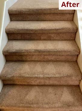 Gallery image 9 — area rug cleaning Hillsborough County
