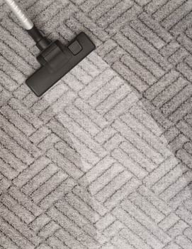 area rug cleaning Hillsborough County