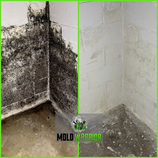 Gallery image 1 — free mold inspection Atlanta