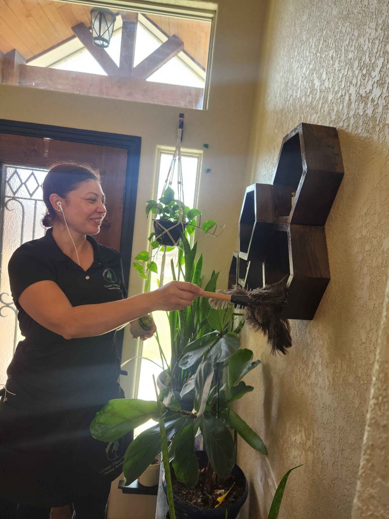 Gallery image 5 — Green Flamingo Cleaning Services LLC