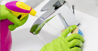 Gallery image 5 — affordable house cleaning Tampa