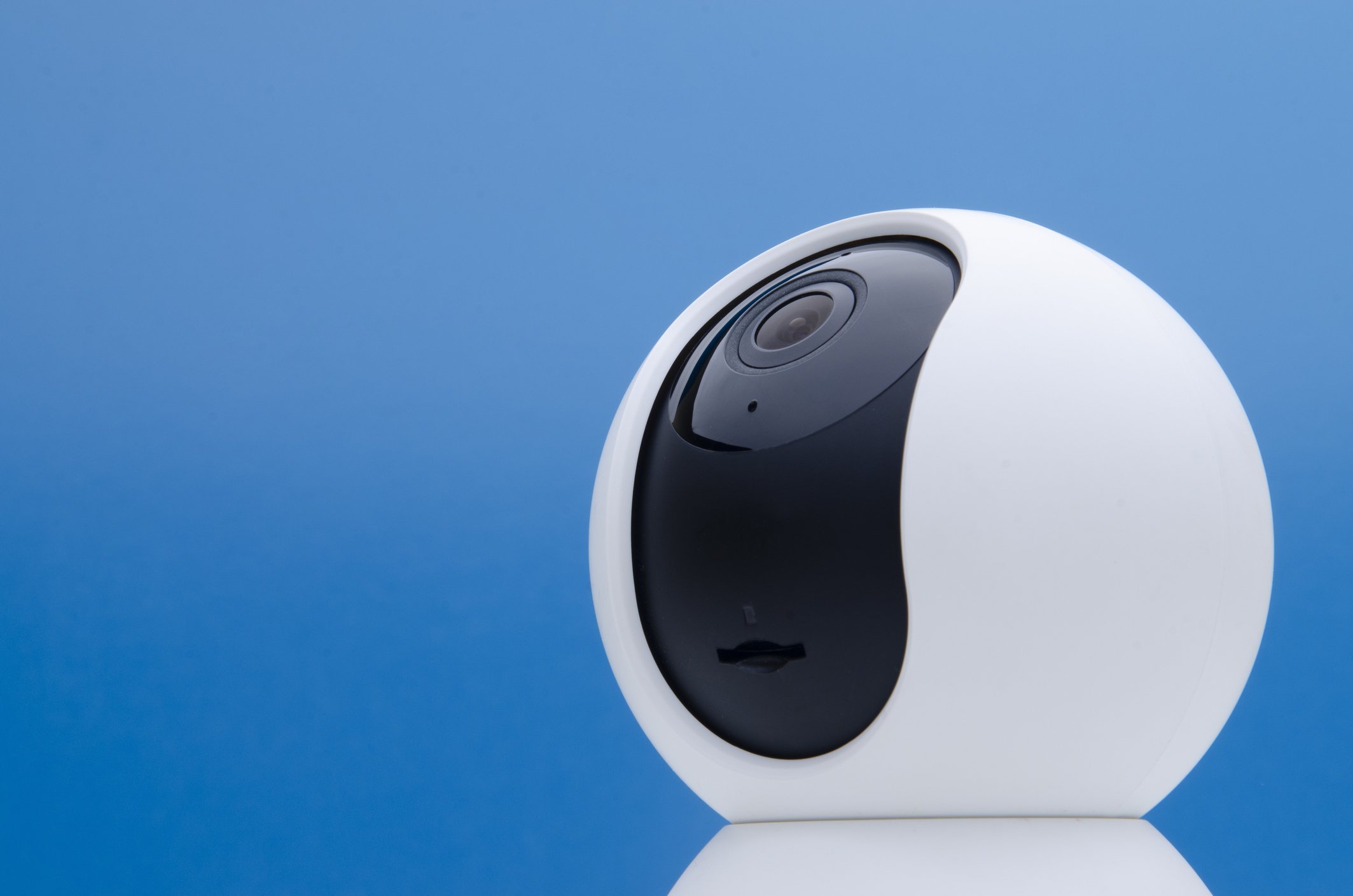 Gallery image 3 — Wanfer Solutions