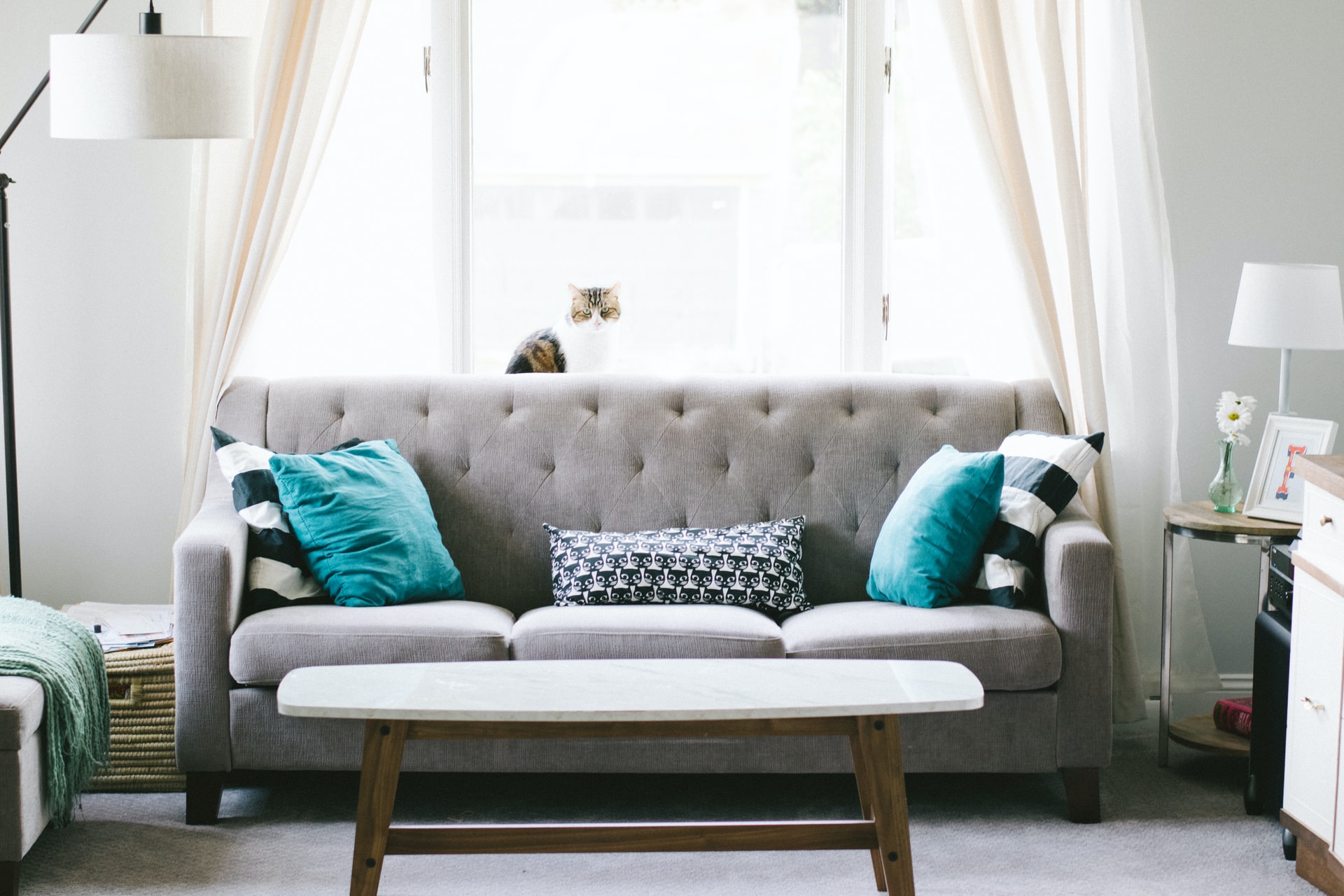 Gallery image 6 — House & Commercial Cleaning